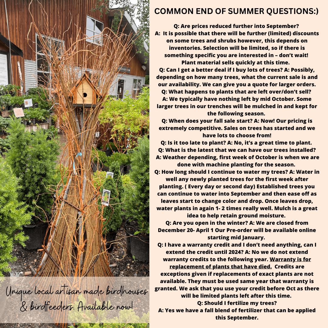 Countryside Garden End of Summer QA