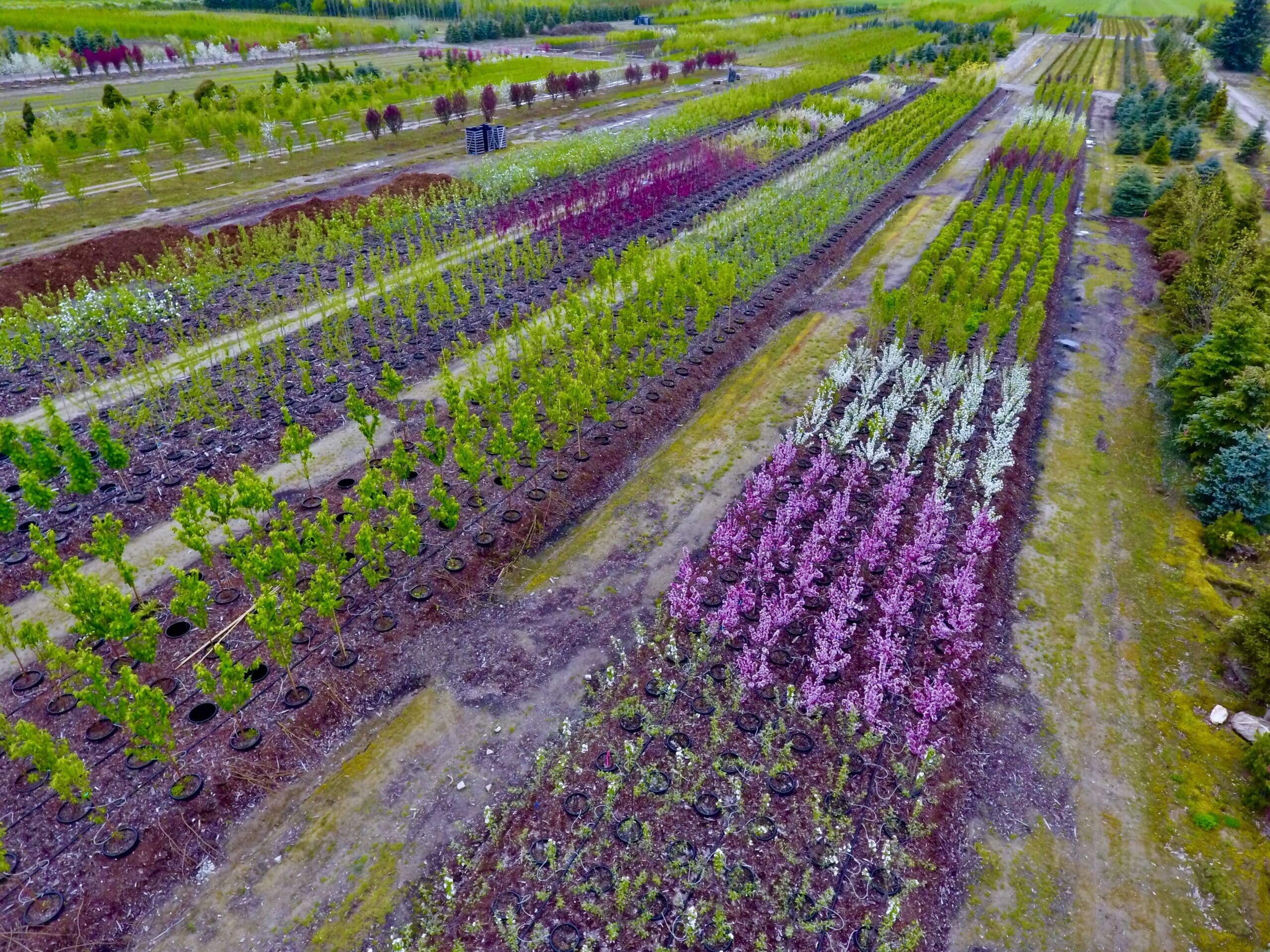 Countryside Garden Centre Calgary