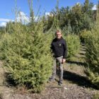 Caliper Larch Tree Size someone standing behind the Siberian Larch Tree