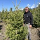 Caliper Larch Tree Size guy standing behind