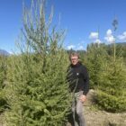 Caliper Larch Tree Size someone stands behind