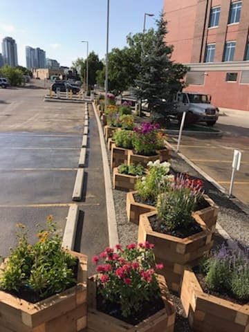 Bee friendly garden in Inglewood Calgary