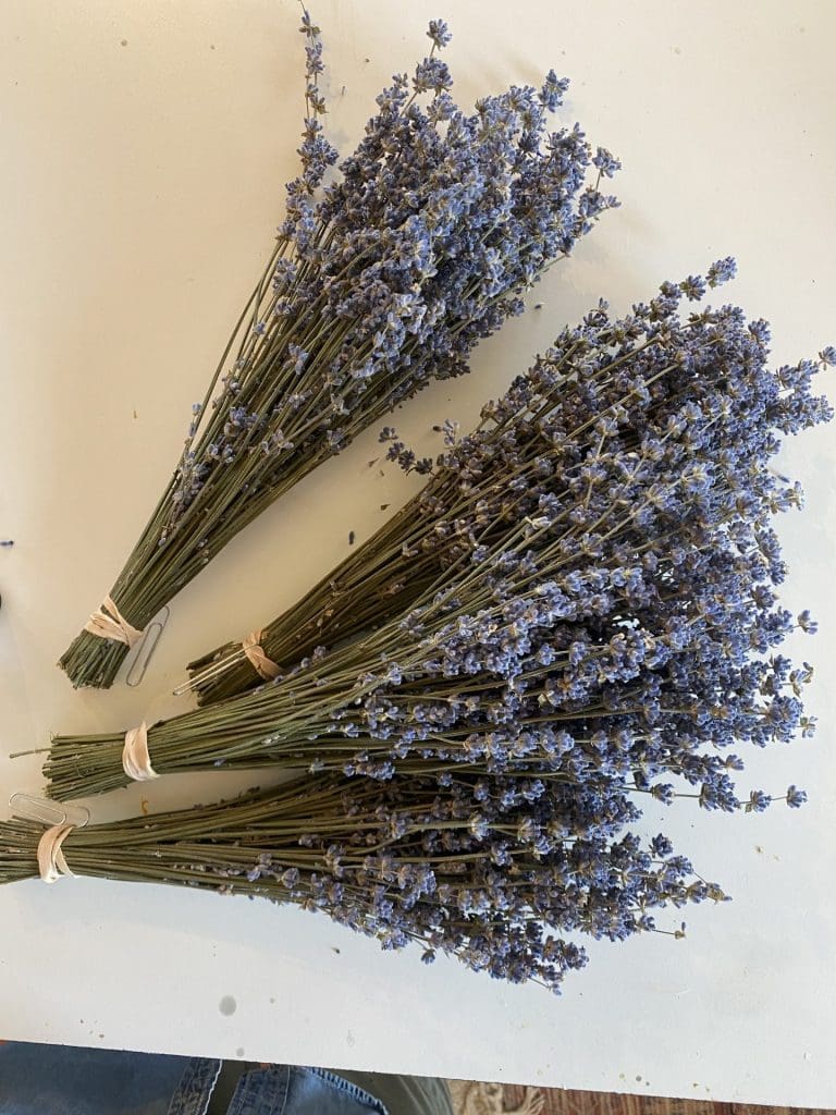 Multiple lavender bundles for bulk or event use for sale in Calgary