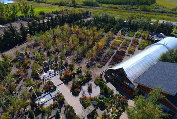 Countryside Tree Farms and Landscaping Garden Centre Tree Nursery Alberta Calgary Okotoks