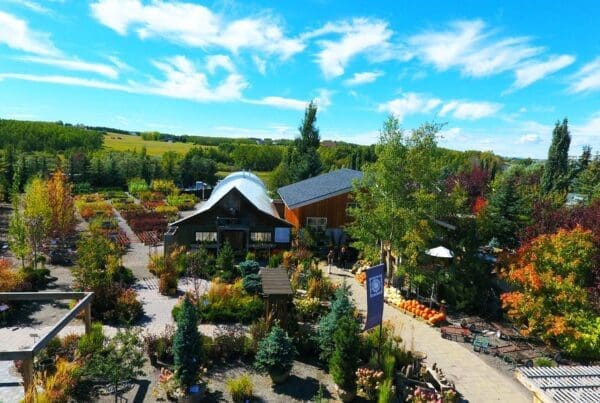 Countryside Tree Farms and Landscaping Garden Centre Tree Nursery Calgary Alberta