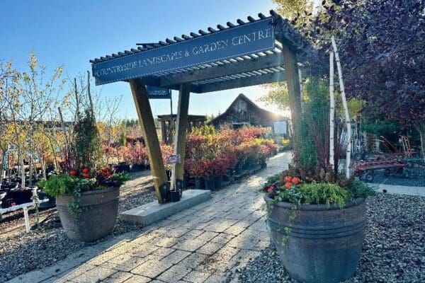 Countryside Tree Farms and Landscaping October 2025 Countryside Tree Farms and Landscaping October 2025