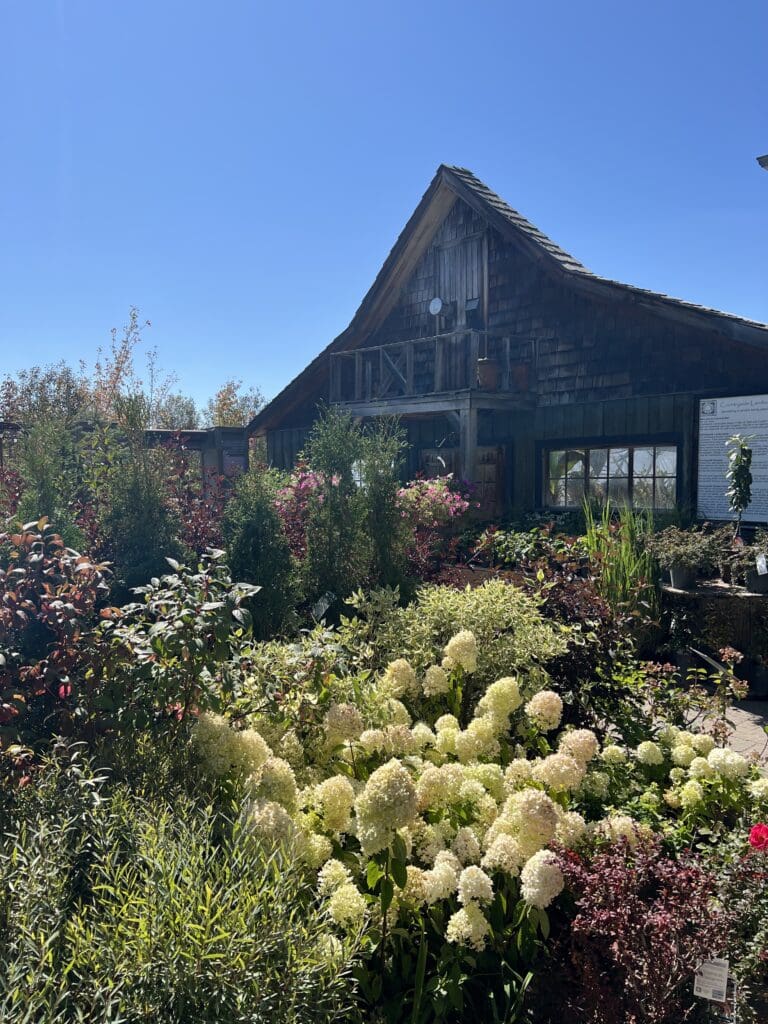 Countryside Tree Farms and Landscaping garden Centre autumn fall 2025 store