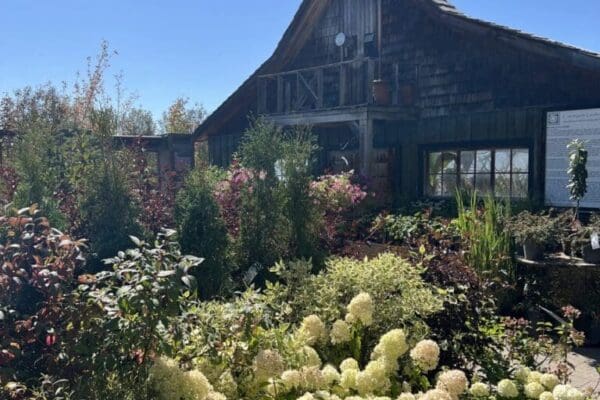 countryside-tree-farms-autumn-fall-2025-garden-centre-1 Countryside Tree Farms and Landscaping garden Centre autumn fall 2025 store