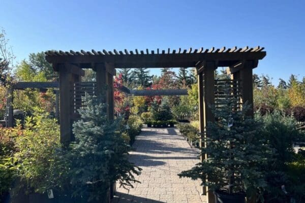 countryside-tree-farms-autumn-fall-2025-garden-centre-2 Countryside Tree Farms and Landscaping garden Centre autumn fall 2025 entrance