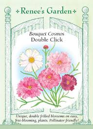 Cosmos 'Double Click' - Renee's Garden