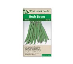 Bean 'Masai French'- West Coast Seeds