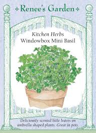 Basil 'Windowbox Mini' - Renee's Garden